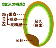 ���Ă̍\��